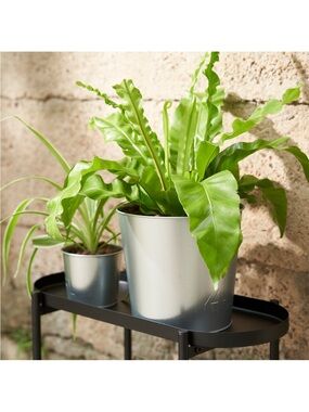 IKEA - AKERBAR Plant Pot Indoor/outdoor/galvanized